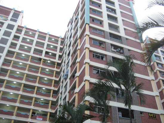 Blk 647 Jalan Tenaga (Bedok), HDB 5 Rooms #175502